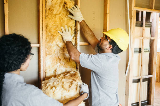 Best Insulation Inspection Services  in Westwood, KS